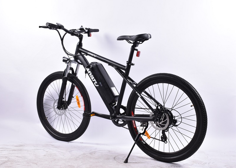 Suspension Fork Mountain E-Bike